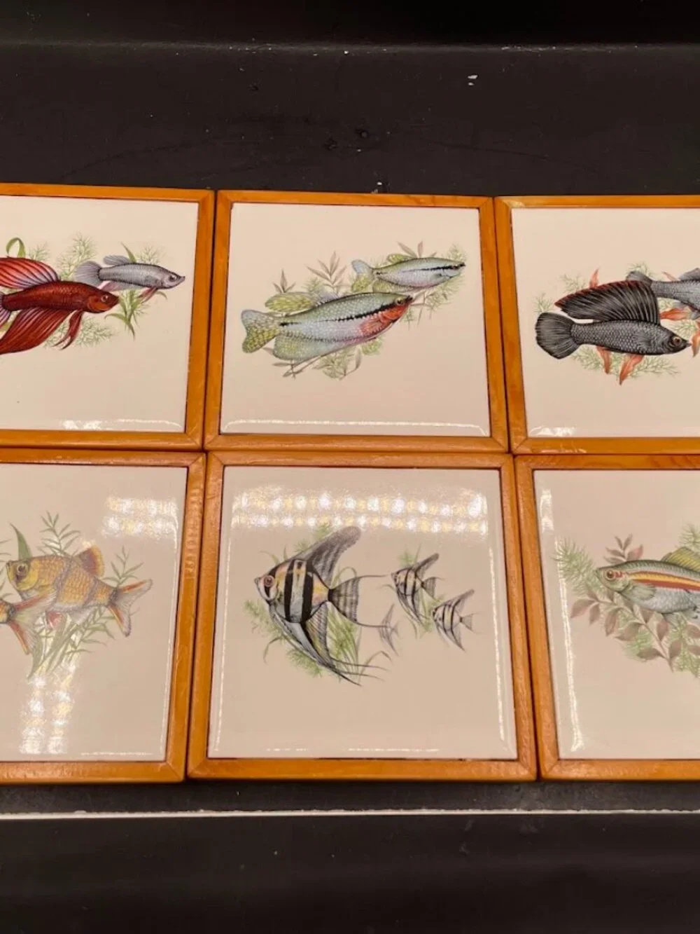 Set Of 6 Ceramic Tiles Wood Frame Tropical Fish Decals Coasters Trivets Aquatic
